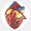Search for heart surgeon stickers Doctor