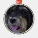 Search for maltipoo christmas tree decorations Poodle