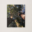 Search for perspective puzzles Trees