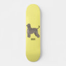 Search for coat skateboards Pet