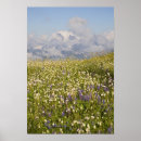 Search for wilderness posters North america