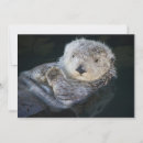 Search for otter cards Sea life