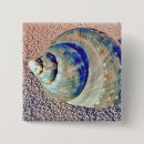 Search for seashell badges Nautical