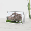 Search for tree lights cards Trees