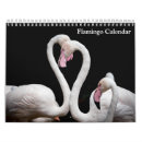 Search for flamingo calendars 2025