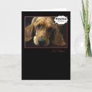Search for basset hound valentines day cards Valentine's
