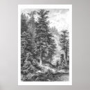 Search for baum posters Tree