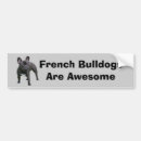 Search for french bulldog bumper stickers Puppy