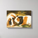 Search for guinea pig art Rabbit