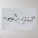 Search for migration posters Goose