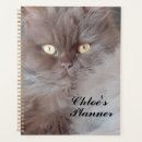 Search for cuddly office supplies Kitty