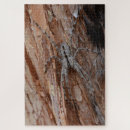 Search for spider puzzles Arachnid