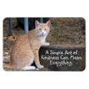Search for sad rectangular magnets Cat