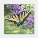 Search for bug pictures magnets Nature