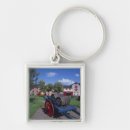 Search for irish heritage key rings Ireland