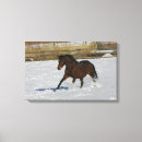 Search for thoroughbred canvas prints Running