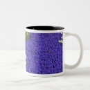 Search for holland park mugs Environment