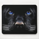 Search for panther mousepads Computer