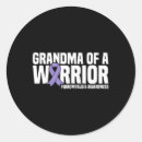 Search for fibromyalgia warrior stickers Pain