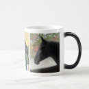 Search for horse pictures mugs Equestrian