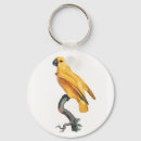 Search for colourful parrot key rings Exotic