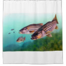 Search for boat bath beauty Striped