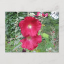 Search for fashionable postcards Red
