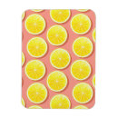 Search for lemon slice magnets Summer