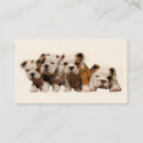 Search for bullis business cards Puppies
