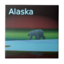 Search for bear tiles Winter