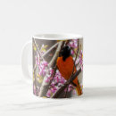 Search for baltimore oriole mugs Nature