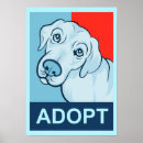 Search for cat adoption posters Animal