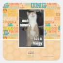 Search for tummy stickers I can has cheezburger