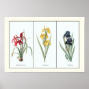 Search for triptych art Botanical