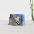 Search for tufts cards Bird