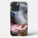 Search for staffordshire iphone cases Staffy