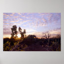 Search for sonoran posters Sunset