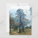 Search for fir tree postcards Trees