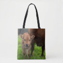 Search for herds bags Cow