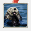 Search for monterey california christmas tree decorations Ocean
