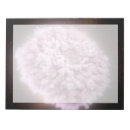 Search for cloud notepads Stars