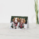 Search for brittany dog cards Puppies