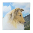 Search for rough tiles Dog