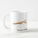 Search for mantis mugs Bug