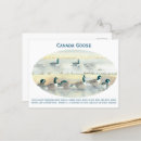 Search for vintage canada postcards Nature