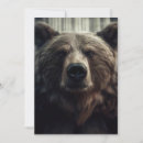 Search for grizzly invitations Wildlife