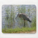 Search for blue heron mousepads Florida