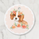 Search for cavalier king charles birthday crafts party Dog
