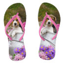 Search for pets shoes Funny