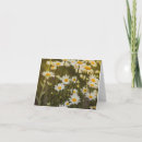Search for inside note cards Summer